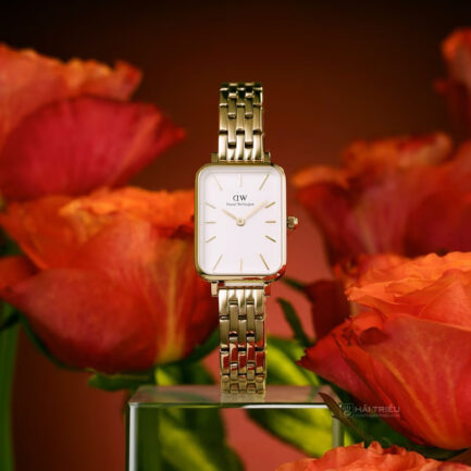 Đồng hồ Daniel Wellington DW00100622