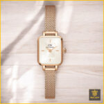 Đồng hồ Daniel Wellington DW00100651